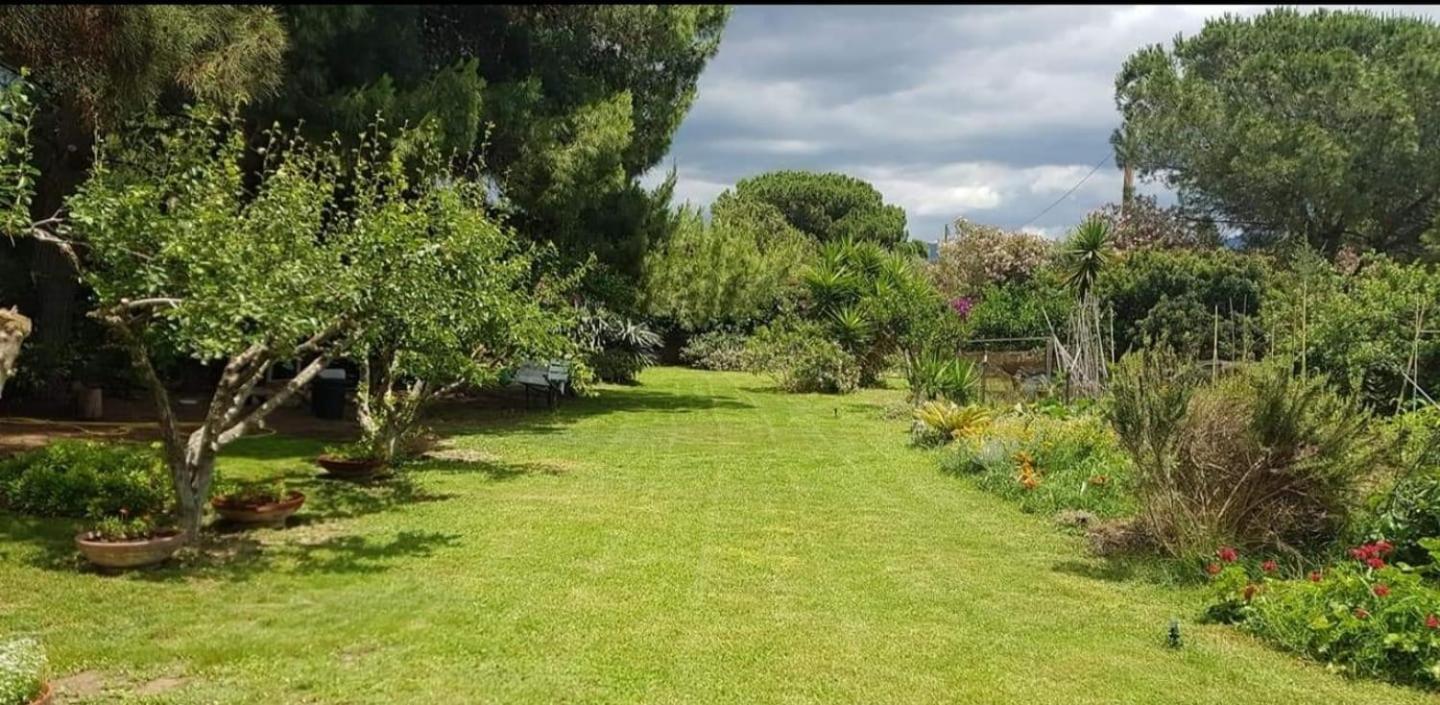夸尔图-圣埃莱娜Il Giardino Di Frafa公寓 外观 照片