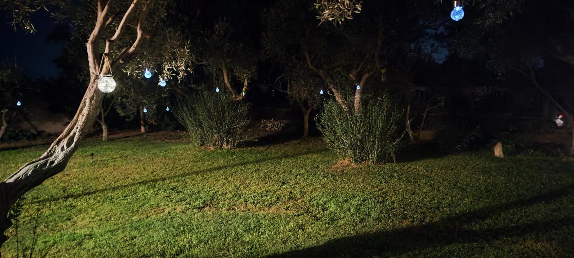 夸尔图-圣埃莱娜Il Giardino Di Frafa公寓 外观 照片